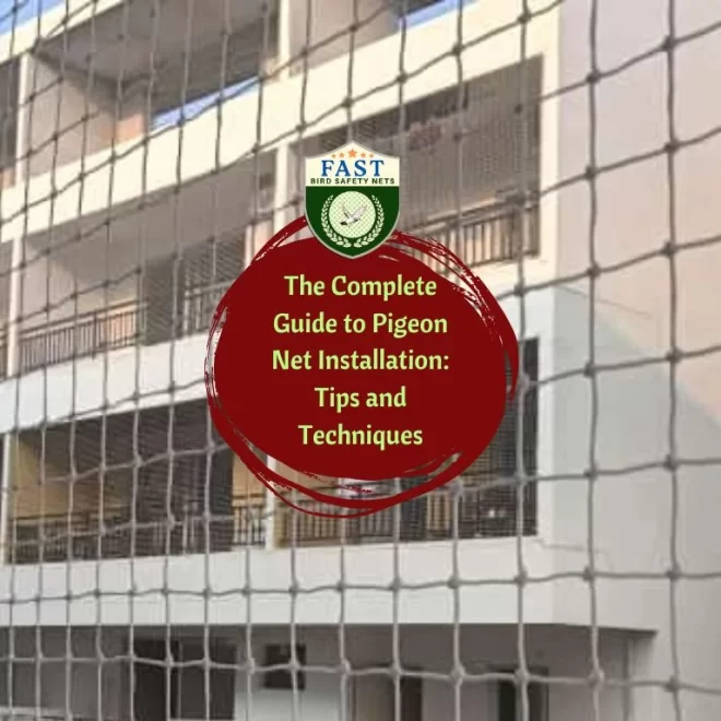 The Complete Guide to Pigeon Net Installation: Tips and Techniques