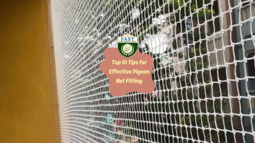 Top 10 Tips for Effective Pigeon Net Fitting