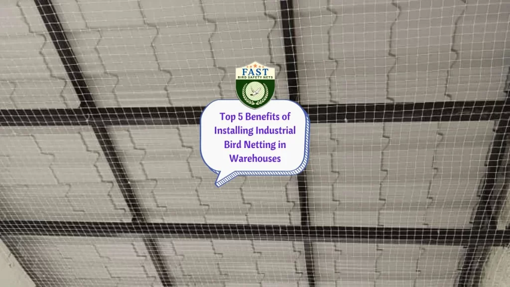 Top 5 Benefits of Installing Industrial Bird Netting in Warehouses