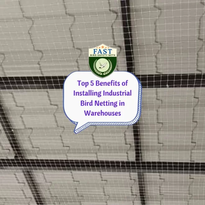 Top 5 Benefits of Installing Industrial Bird Netting in Warehouses