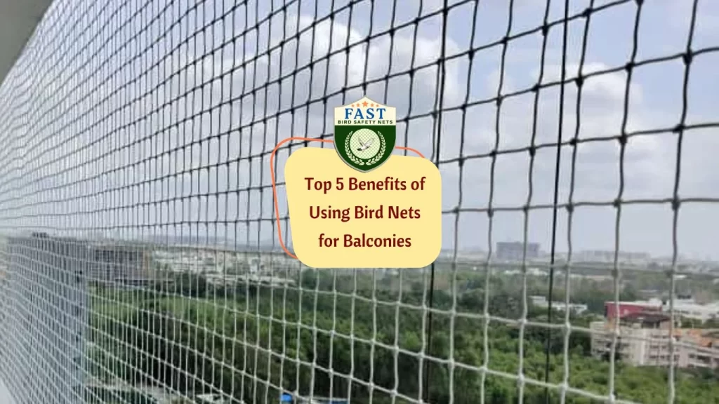 Top 5 Benefits of Using Bird Nets for Balconies