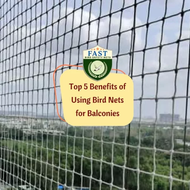 Top 5 Benefits of Using Bird Nets for Balconies