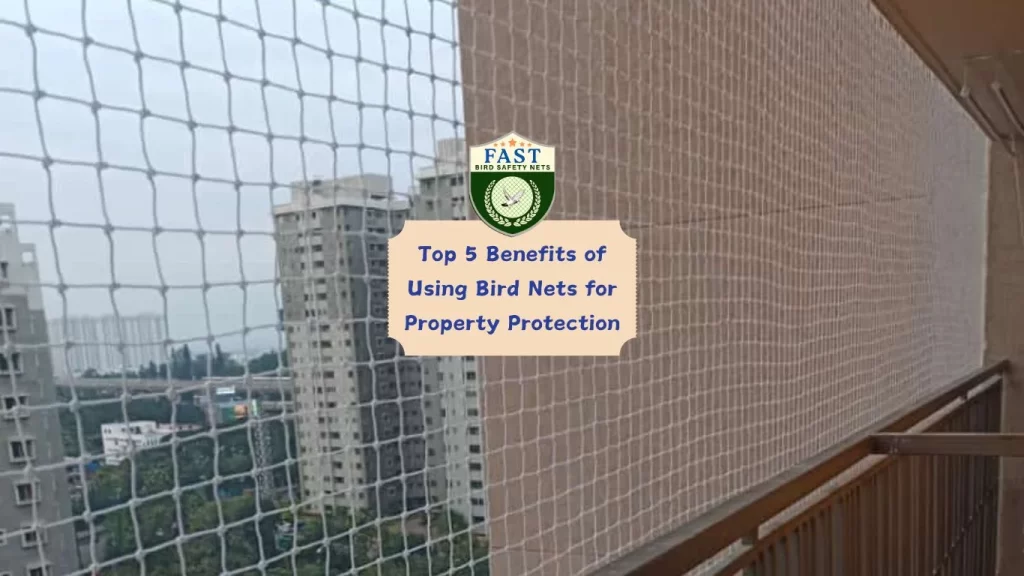 Top 5 Benefits of Using Bird Nets for Property Protection