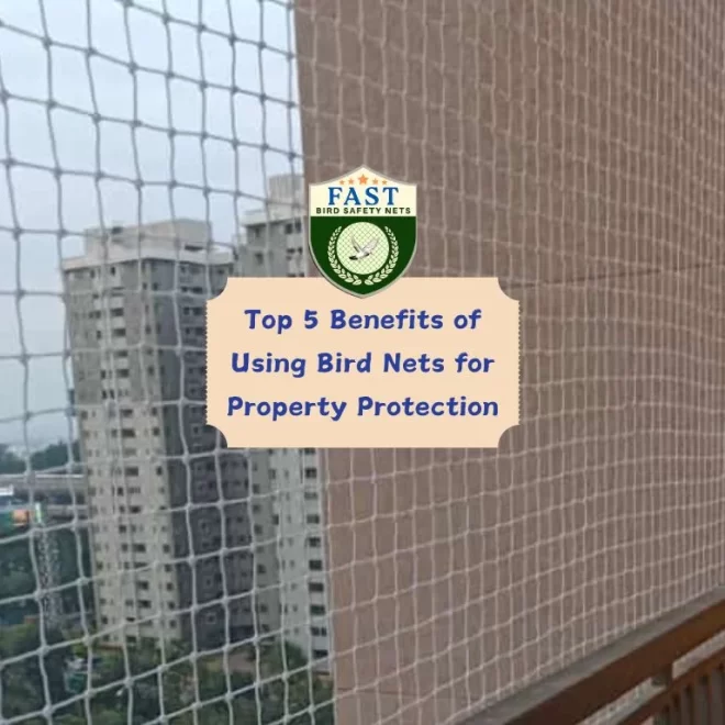 Top 5 Benefits of Using Bird Nets for Property Protection