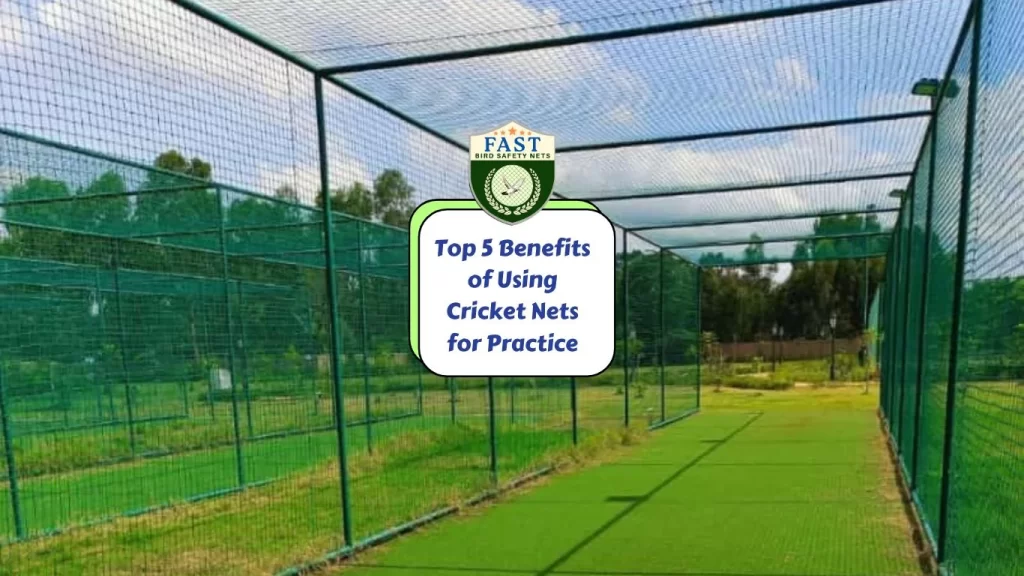 Top 5 Benefits of Using Cricket Nets for Practice