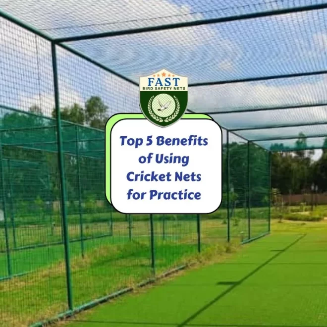 Top 5 Benefits of Using Cricket Nets for Practice