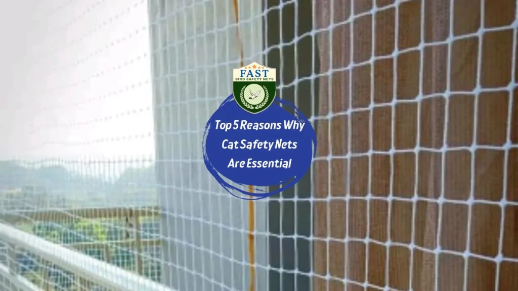 Top 5 Reasons Why Cat Safety Nets Are Essential