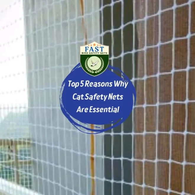 Top 5 Reasons Why Cat Safety Nets Are Essential