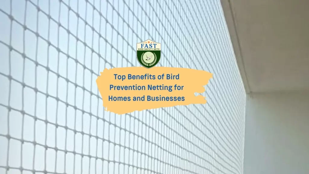 Top Benefits of Bird Prevention Netting for Homes and Businesses