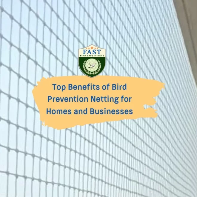 Top Benefits of Bird Prevention Netting for Homes and Businesses