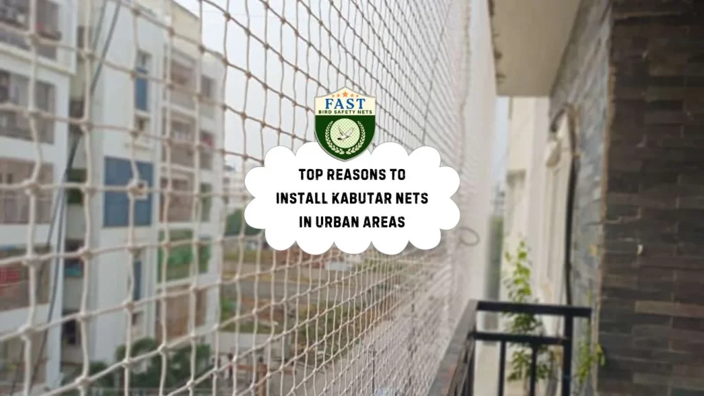 Top Reasons to Install Kabutar Nets in Urban Areas