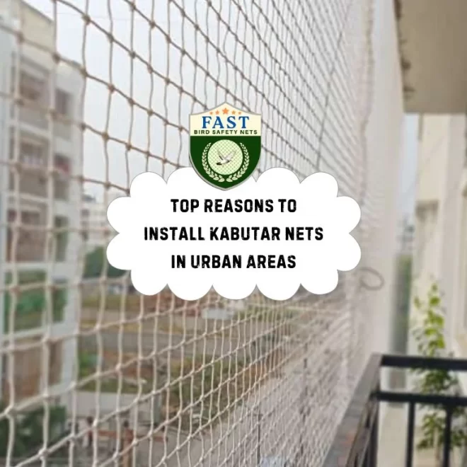 Top Reasons to Install Kabutar Nets in Urban Areas