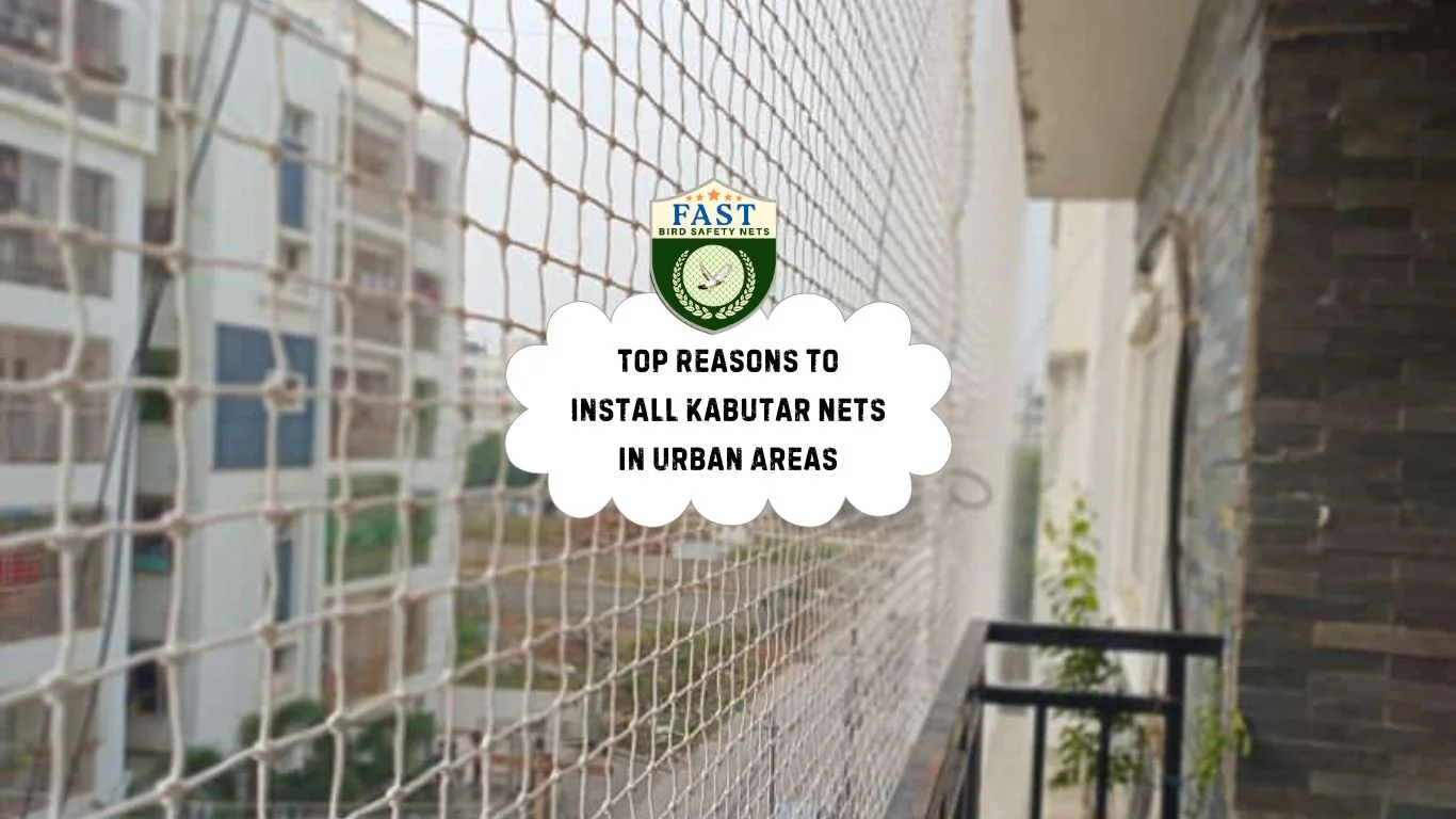 Top Strategies for Dealing with Pigeon Infestations - Fast Safety Nets ...
