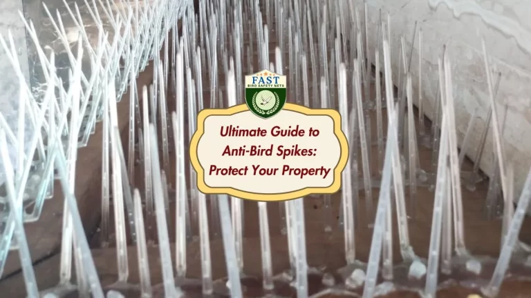 Ultimate Guide to Anti-Bird Spikes: Protect Your Property