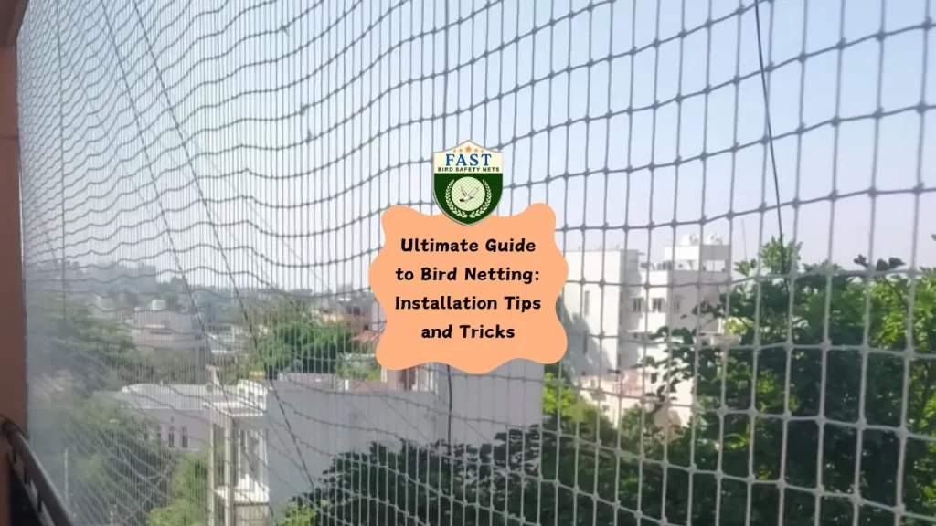 Ultimate Guide to Bird Netting: Installation Tips and Tricks