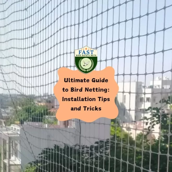 Ultimate Guide to Bird Netting: Installation Tips and Tricks