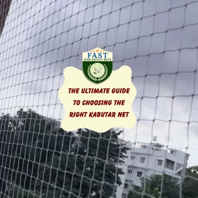 The Ultimate Guide to Choosing the Right Kabutar Net