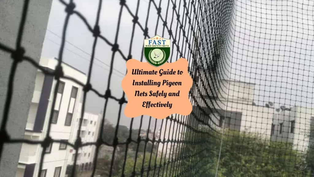 Ultimate Guide to Installing Pigeon Nets Safely and Effectively