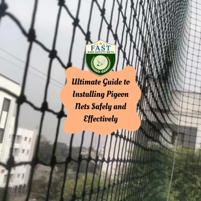Ultimate Guide to Installing Pigeon Nets Safely and Effectively