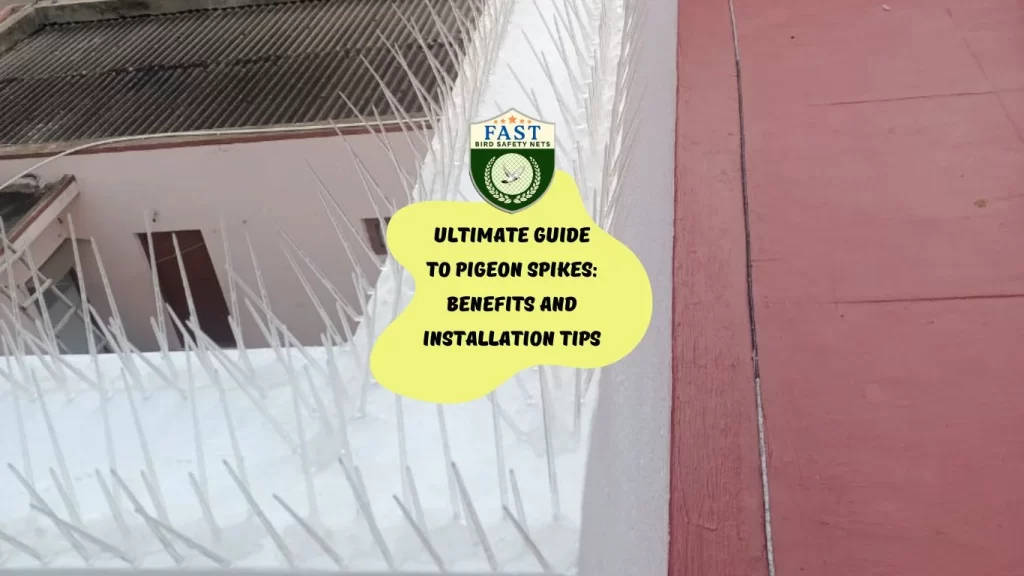 Ultimate Guide to Pigeon Spikes: Benefits and Installation Tips