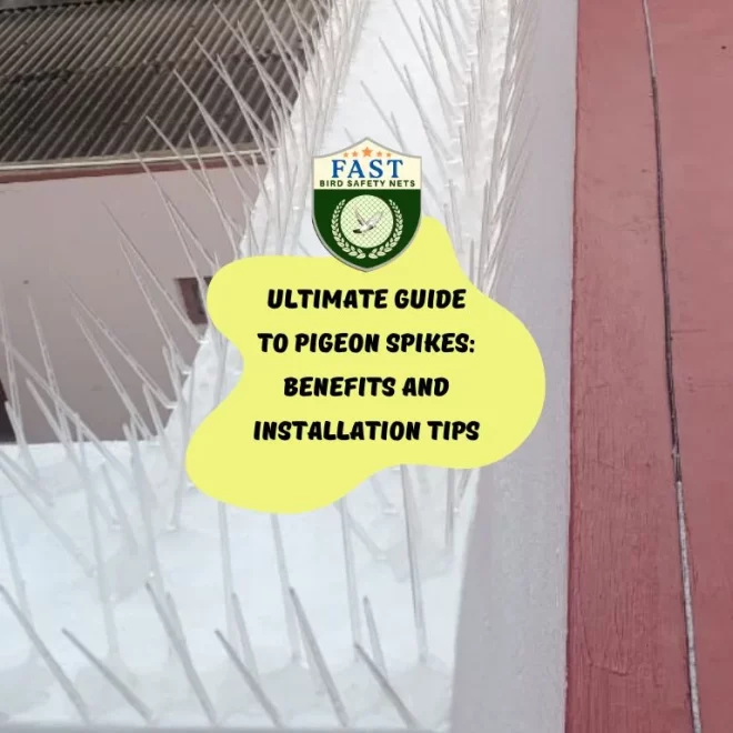 Ultimate Guide to Pigeon Spikes: Benefits and Installation Tips