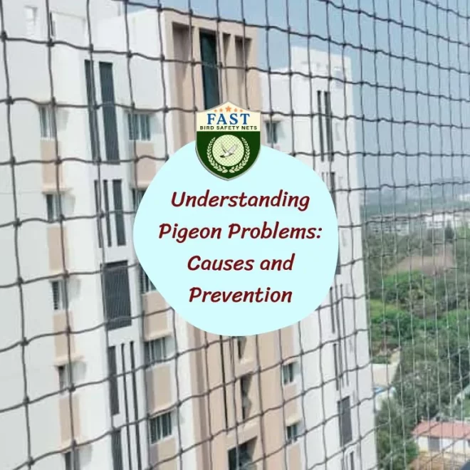 Understanding Pigeon Problems: Causes and Prevention