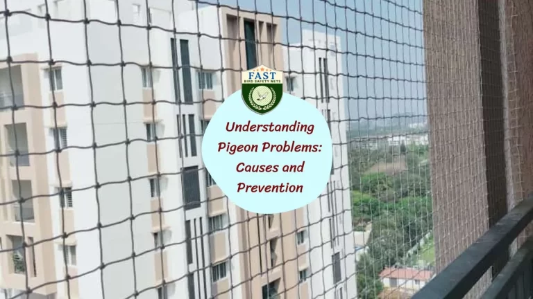 Understanding Pigeon Problems: Causes and Prevention