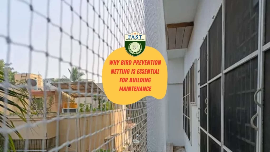 Why Bird Prevention Netting is Essential for Building Maintenance