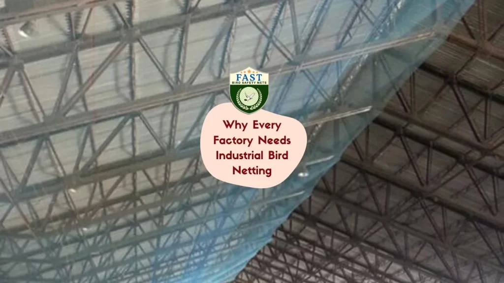 Why Every Factory Needs Industrial Bird Netting