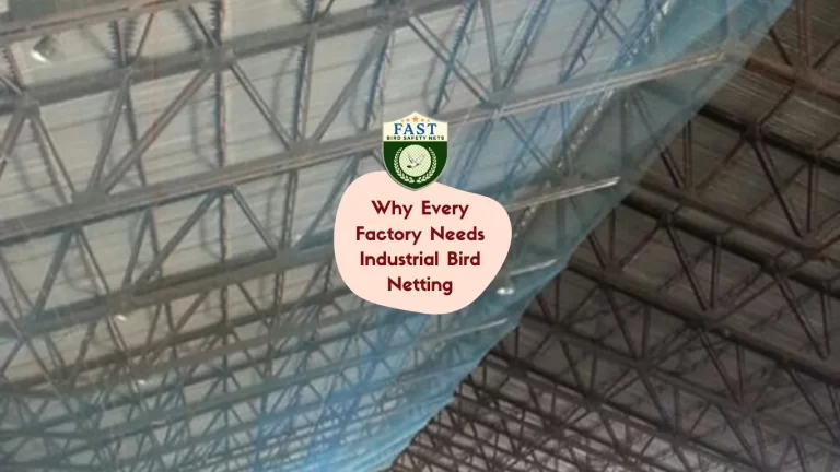Why Every Factory Needs Industrial Bird Netting
