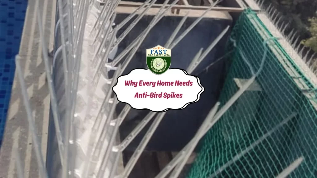 Why Every Home Needs Anti-Bird Spikes