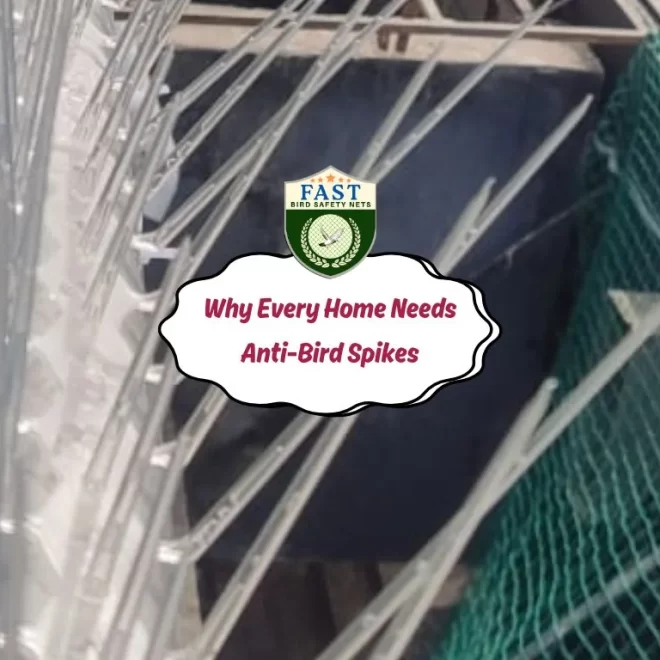 Why Every Home Needs Anti-Bird Spikes
