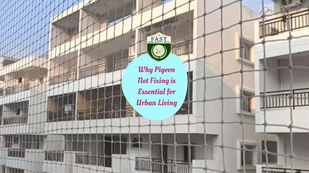 Why Pigeon Net Fixing is Essential for Urban Living