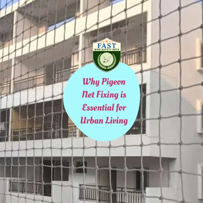 Why Pigeon Net Fixing is Essential for Urban Living